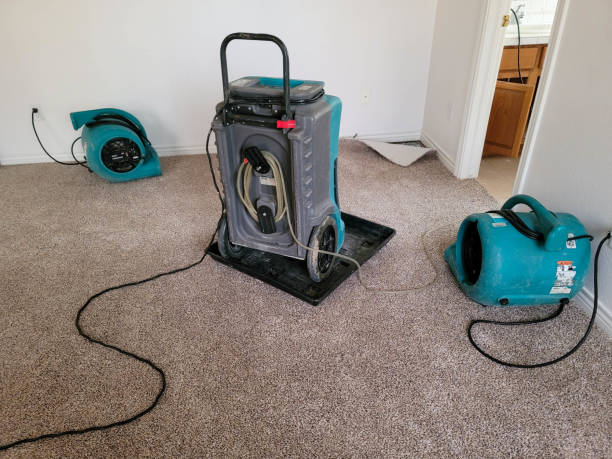 24/7 water damage repair in Whiteland, IN
