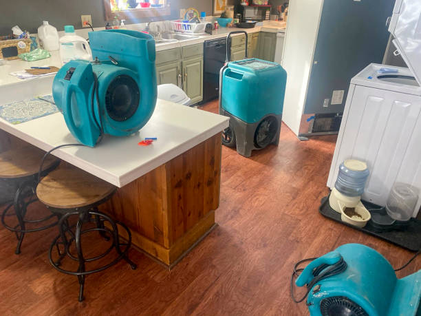 Best Flooded house restoration  in Whiteland, IN