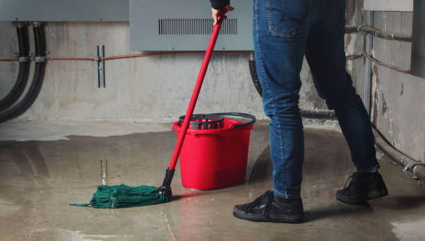 Water damage restoration mold remediation in Whiteland, IN