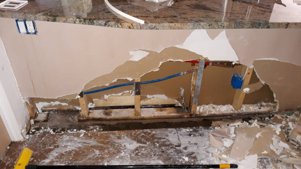Best Flood damage cleanup  in Whiteland, IN