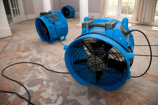 Best 24-hour water damage restoration  in Whiteland, IN