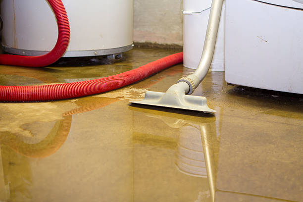 Best Commercial water damage restoration  in Whiteland, IN