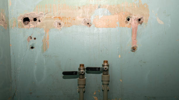 Best Professional water damage repair  in Whiteland, IN