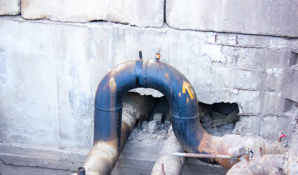 Best Water damage contractors near me  in Whiteland, IN
