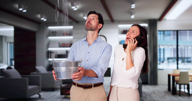 Best 24/7 water damage repair  in Whiteland, IN