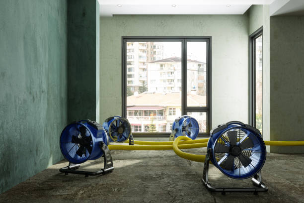 Best Residential water damage restoration  in Whiteland, IN